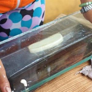 Cách làm bánh que chuối chiên