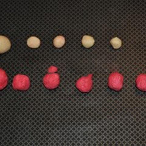 Cách làm bánh quy hình ông già Noel