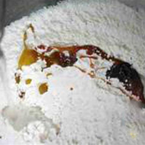 Cách làm bánh quy sốt bơ