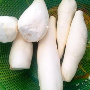 Cách làm bánh tằm viên