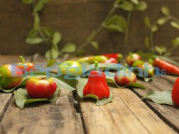 Bánh trái cây đậu xanh