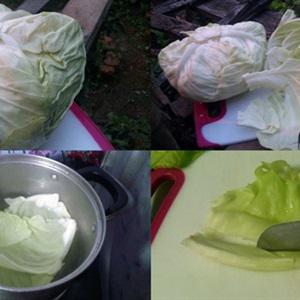 Cách làm bắp cải cuộn thịt sốt cà