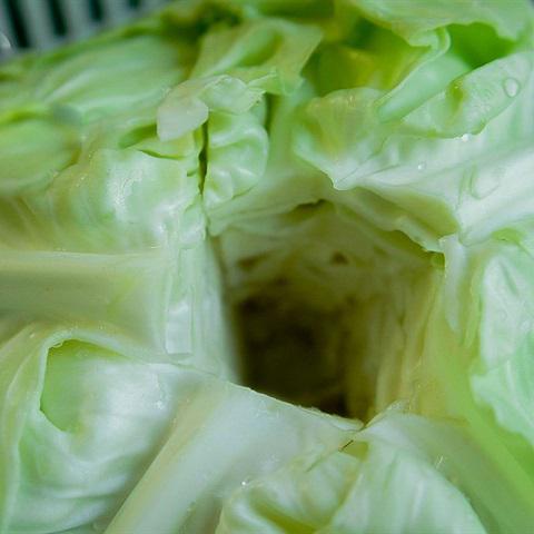 Cách làm bắp cải cuộn thịt sốt nấm