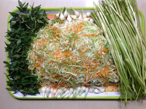 Bắp cải muối xổi