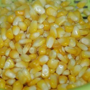 Cách làm bắp chiên