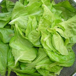 Cách làm bì cuốn