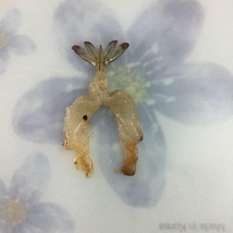 Cách làm bí ngòi hấp tôm tươi