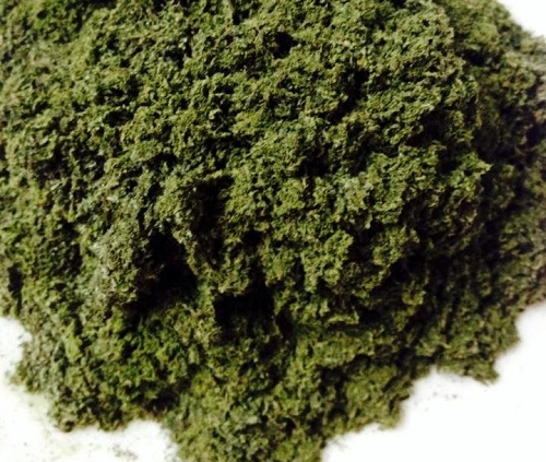 Bí quyết chiên mực giòn tan, không bị khô lại ngọt thịt