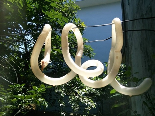 Bí quyết làm bánh bột lọc giòn dai, trong suốt, ngon tuyệt cú mèo