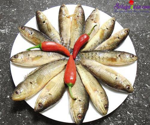 Bí quyết làm bún cá rô đồng thơm ngon đúng vị
