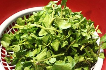 Bí quyết làm cải xoong trộn dầu giấm ngon tuyệt