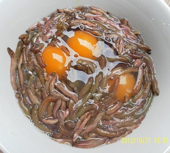 Bí quyết làm món chả rươi ngon tuyệt