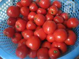 Bí quyết làm sinh tố cà chua, củ sen ngon nhất