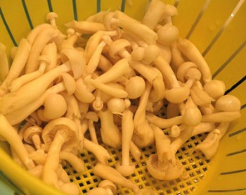 Bí quyết nấu món đậu phụ xào cà tím và nấm ngon tuyệt