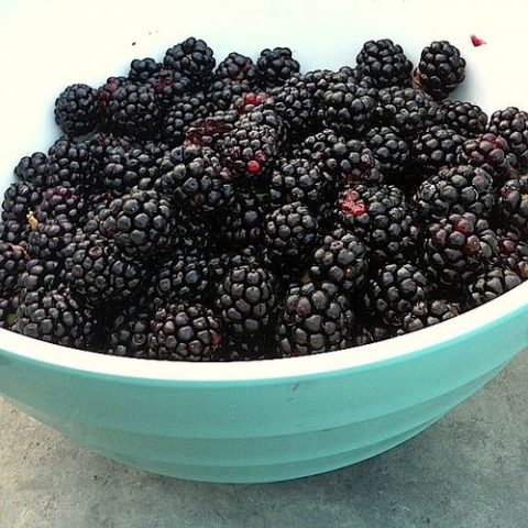 Bò tái chanh – món ngon khó tả