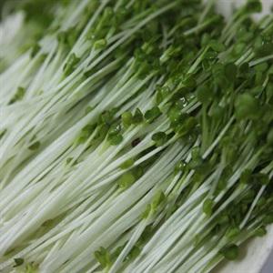 Cách làm bò trộn cải mầm