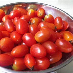 Cách làm bông cải hình cây thông Noel