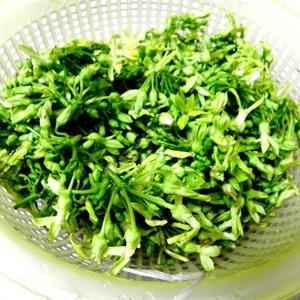 Cách làm bông thiên lý xào tôm