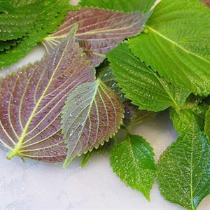 Cách làm bún bò Huế