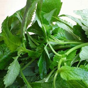 Cách làm bún cá rô đồng