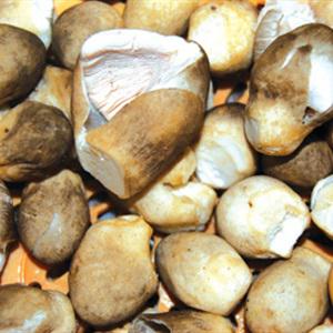 Cách nấu bún chay Huế