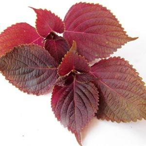 Cách làm bún giò heo