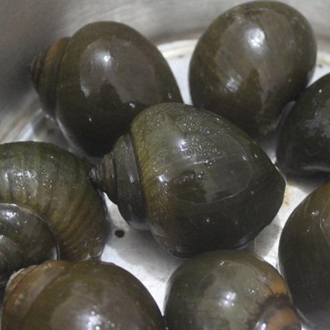 Cách làm bún ốc nguội