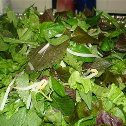 Cách nấu bún riêu cua chua chua