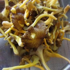 Cách nấu bún xào sắc màu