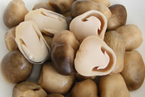 Bún xào tôm thơm ngon ngất ngây