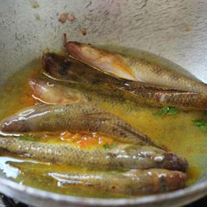 Cách làm cá bống cà ri