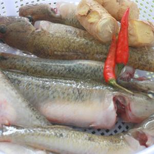 Cách làm cá bống kho với gừng