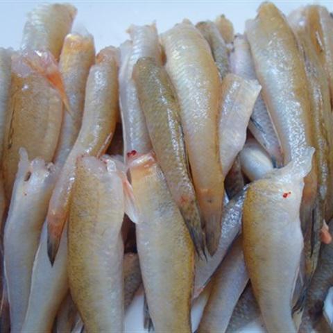 Cách làm cá bống sốt cay