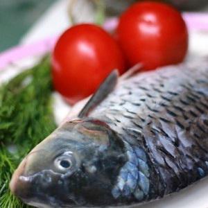 Cách làm cá chép om dưa chua