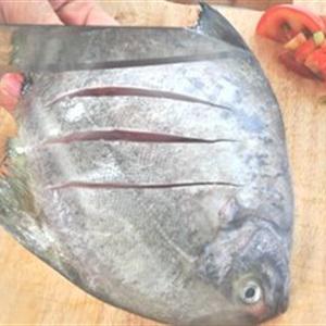 Cách làm cá chim sốt dầu hào