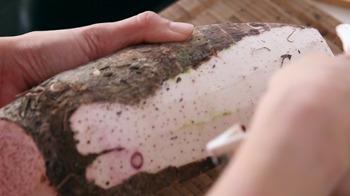 Cà chua phủ phô mai nóng hổi béo ngậy ngon chảy nước mắt