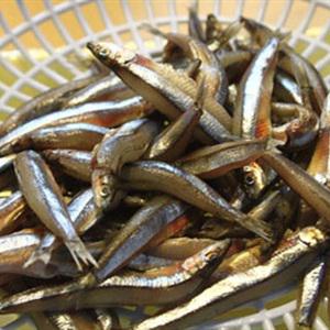 Cách làm cá cơm kho riềng