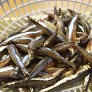 Cách làm cá cơm rán giòn