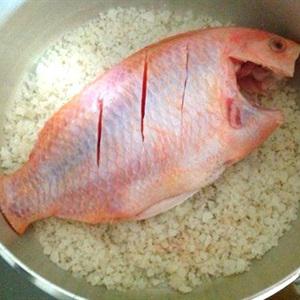 Cách làm cá diêu hồng hấp muối hột