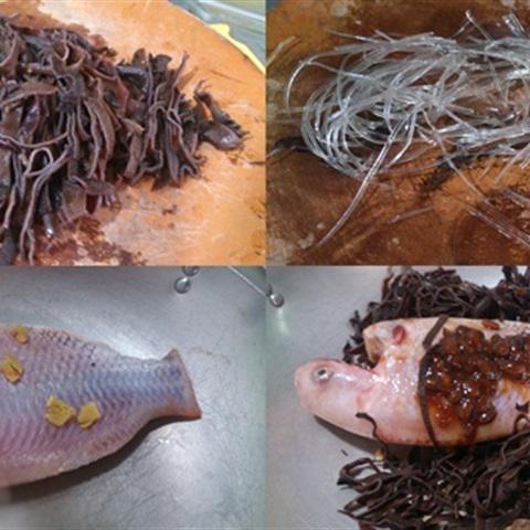 Cách làm cá diêu hồng hấp tương hột