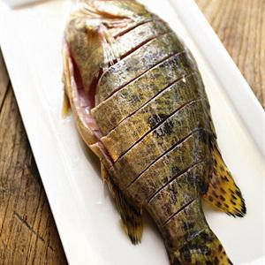 Cách làm cá hấp nước tương