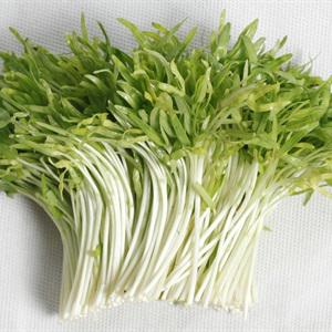 Cách làm cá hồi sốt kem