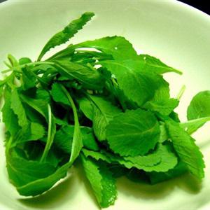 Cách làm cá hồi xông khói sốt ngò