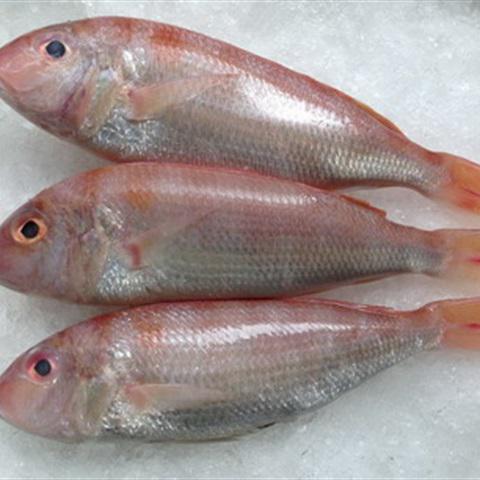 Cách làm cá hường chiên sả