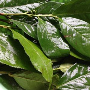 Cách làm cá kho thịt ba chỉ