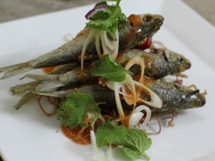 Cá linh chiên sả