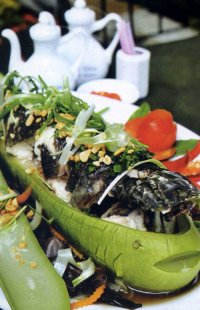 Cá lóc hấp bầu