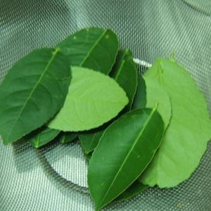 Cách làm cá ngừ om nước cốt dừa