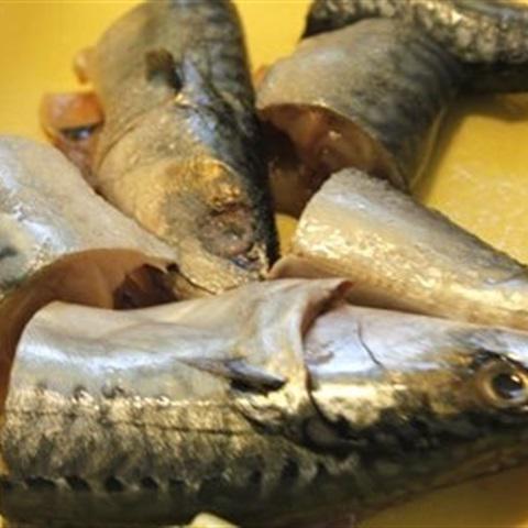 Cách làm cá nục kho dưa cải chua