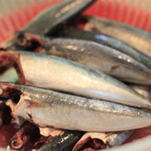 Cách làm cá nục kho húng quế